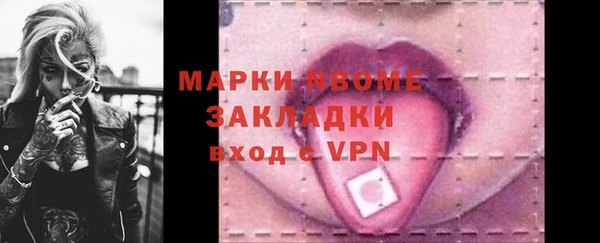 гашик Дегтярск